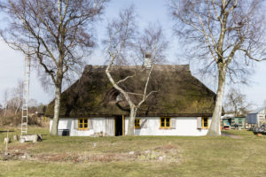 Ein FIscherhaus mit gelben Fensterrahmen udn Reetdach und drei Birken davor
